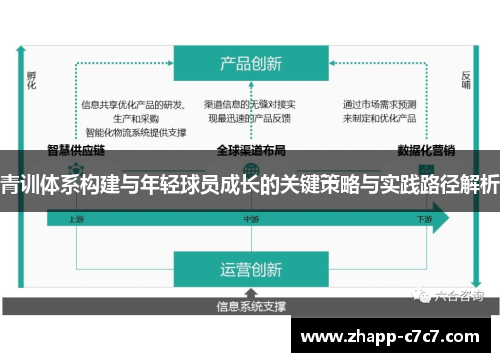 青训体系构建与年轻球员成长的关键策略与实践路径解析